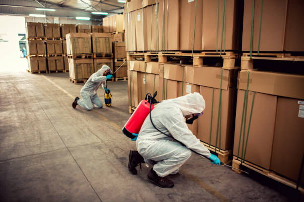 Best Pest Control for Homes  in Vassar College, NY