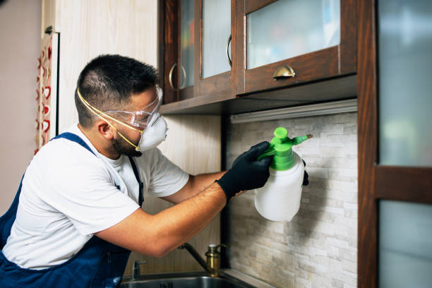 Best Pest Removal Services  in Vassar College, NY