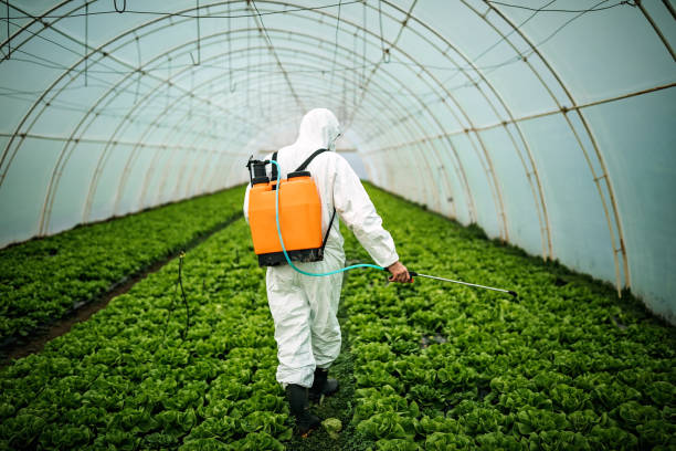 Best Local Pest Control Services  in Vassar College, NY