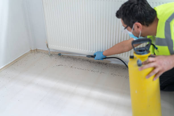 Best Flea Control Services  in Vassar College, NY