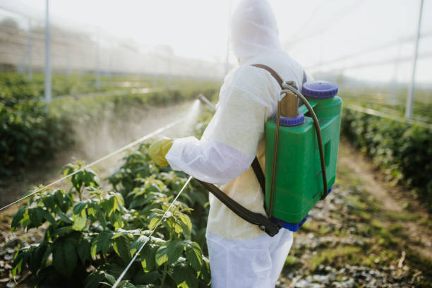 Best Pest Prevention Services  in Vassar College, NY